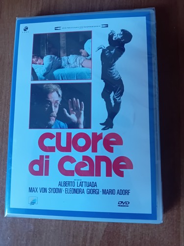 Dvd cuore cane alberto - dvd,
